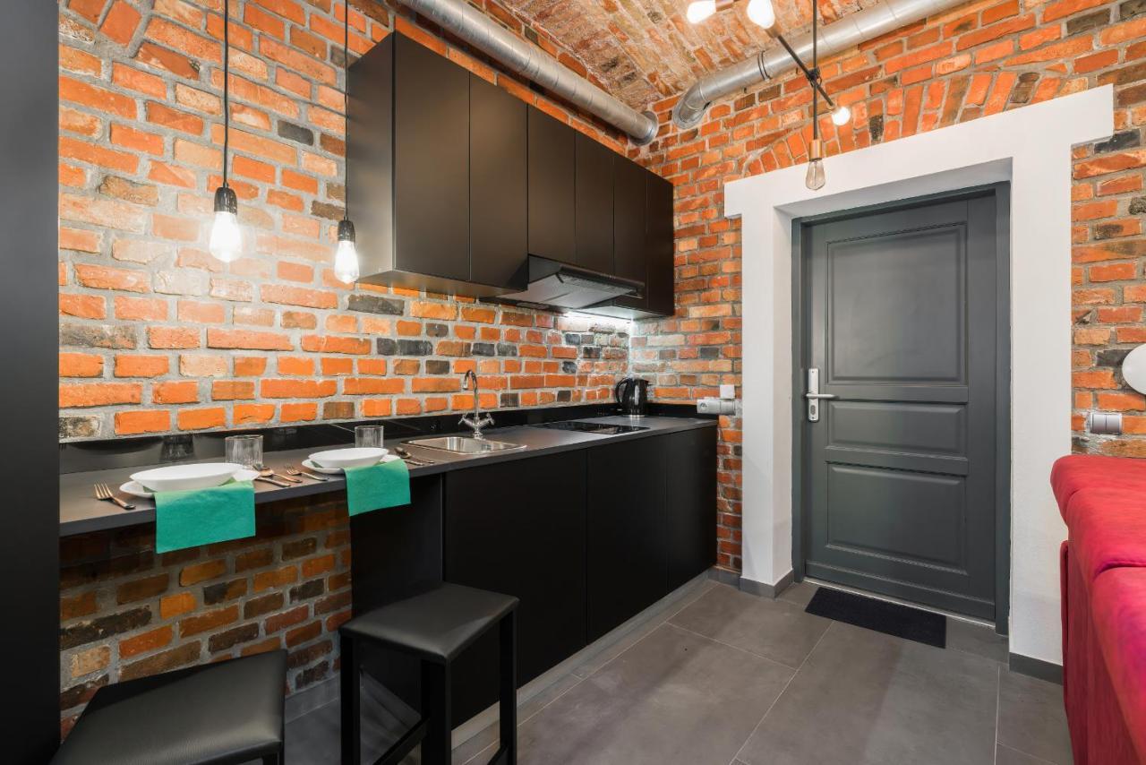 Level -1 Loft Apartments City Center Kopernika Poznań Eksteriør bilde