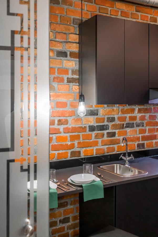 Level -1 Loft Apartments City Center Kopernika Poznań Eksteriør bilde